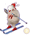 Wooly Screensaver